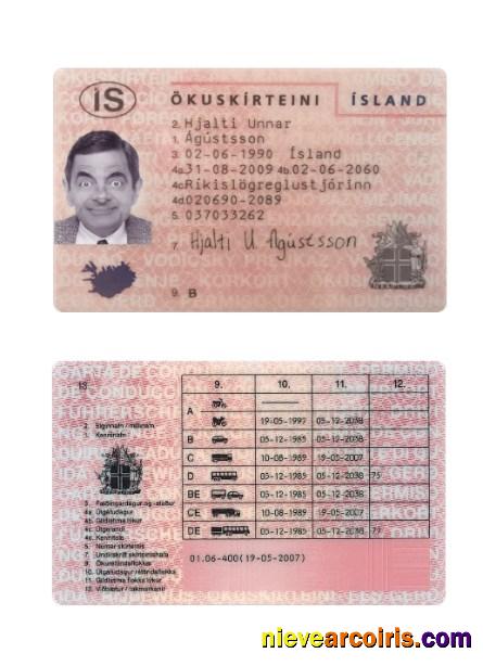 Iceland driving license